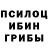 Псилоцибиновые грибы Magic Shrooms SpriNGfiK