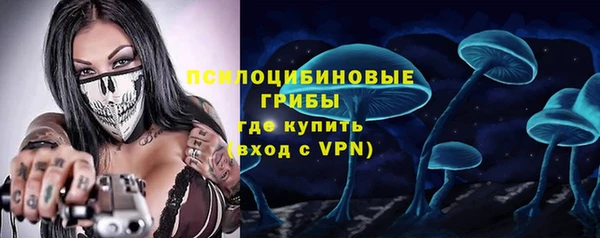 меф Арсеньев