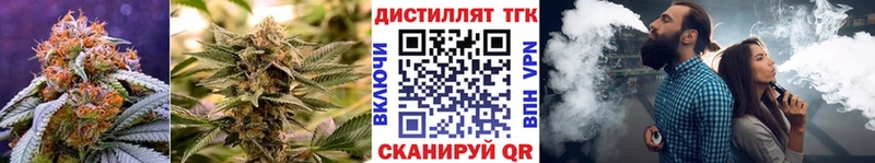 ТГК Wax Буйнакск