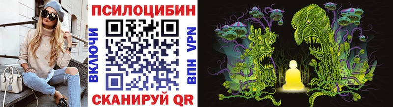 Галлюциногенные грибы Magic Shrooms  где купить   Буйнакск 